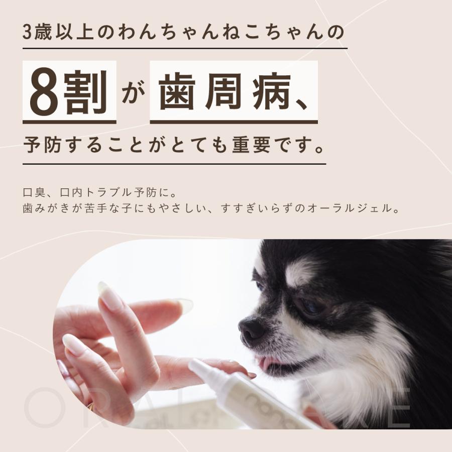 nanowell（ナノウエル） 【選べるおまけ付き】 オーラルケア for CAT