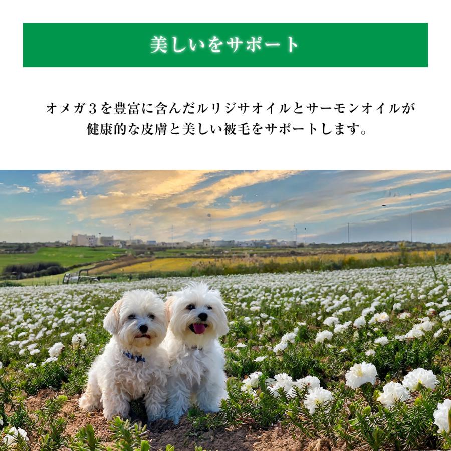 NATURE'S PROTECTION（ネイチャーズプロテクション） 【選べるおまけ