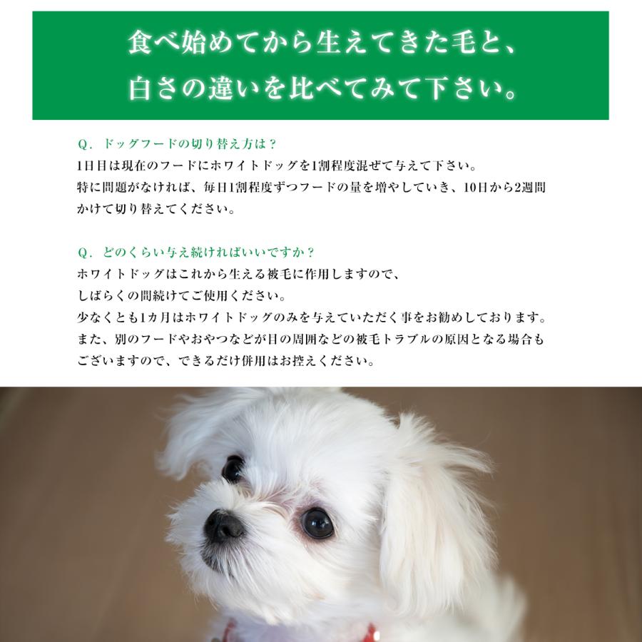 NATURE'S PROTECTION（ネイチャーズプロテクション） ホワイトドッグ