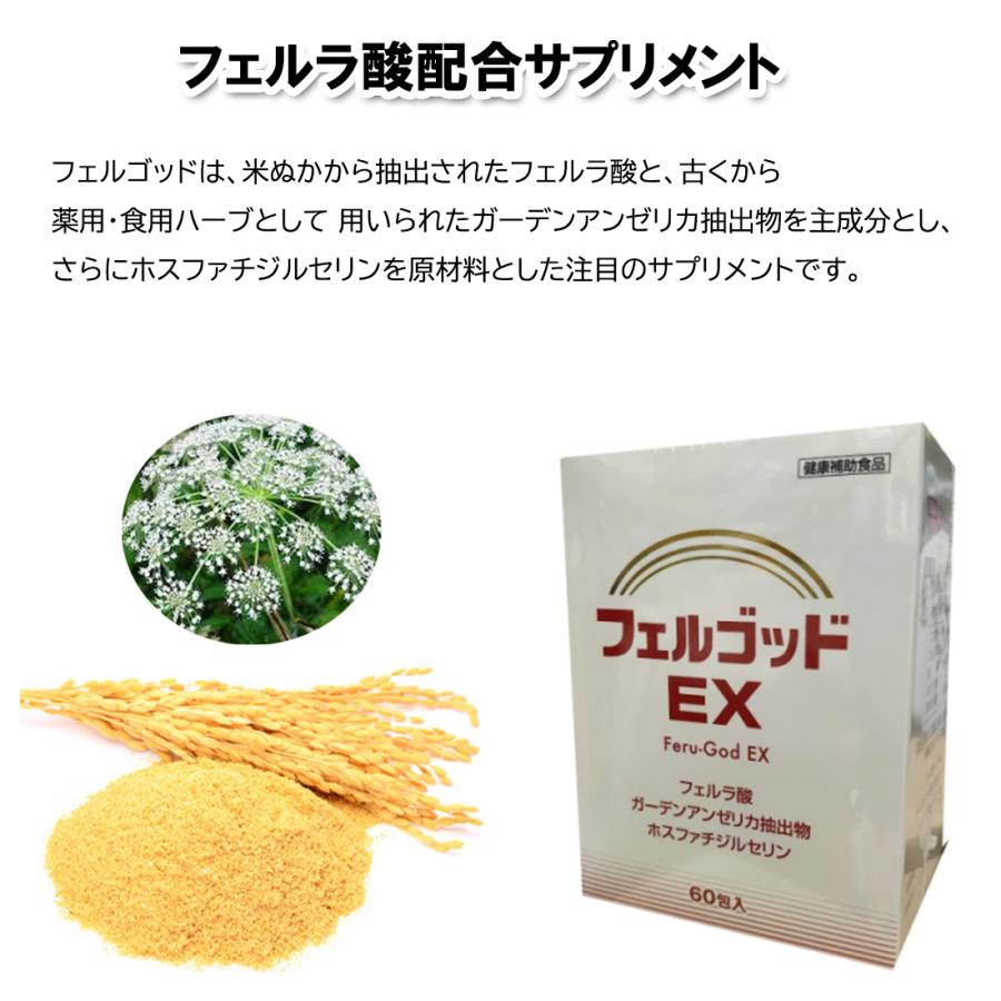 フェルゴッドEX 2g×60包 フェルネラ酸 ガーデンアンゼリカエキス フェルゴッドEX 2g×60包 フェルネラ酸 ガーデンアンゼリカエキス