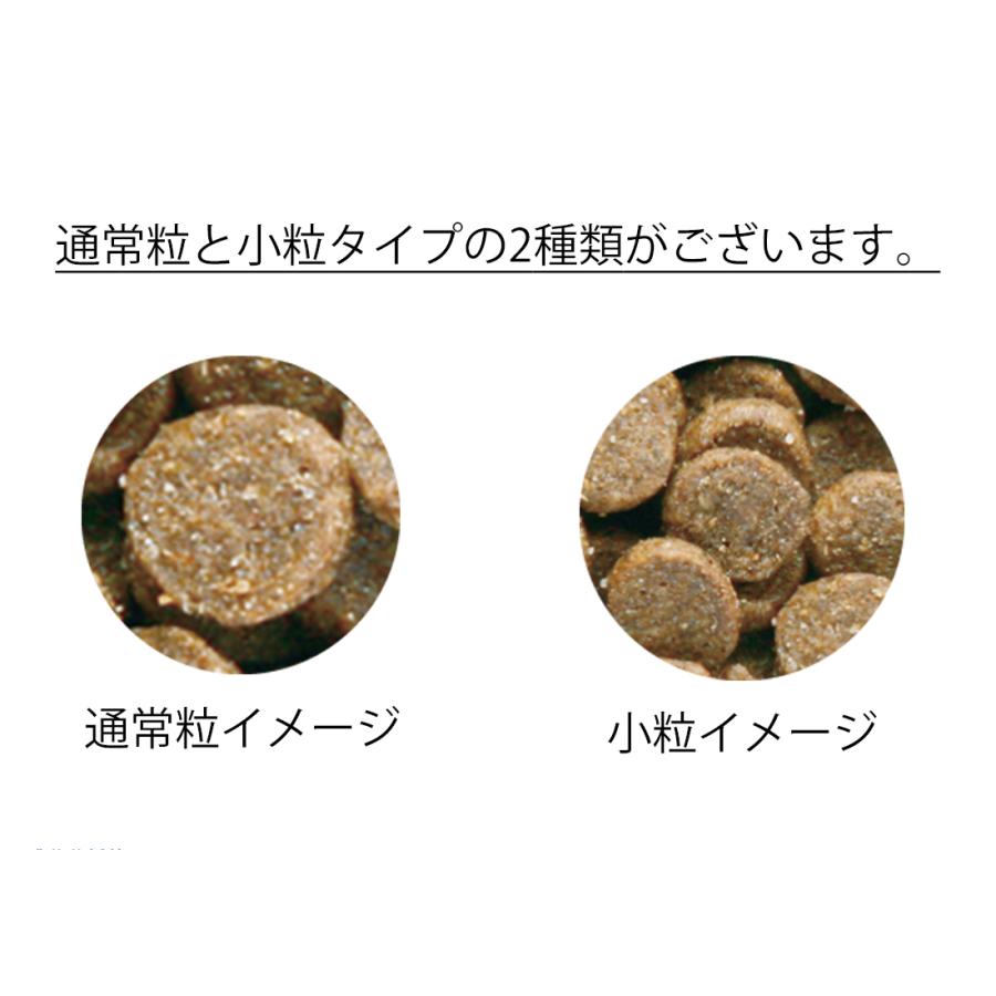 ナチュラルバランスダック12ポンドドッグフード2袋 【公式通販】