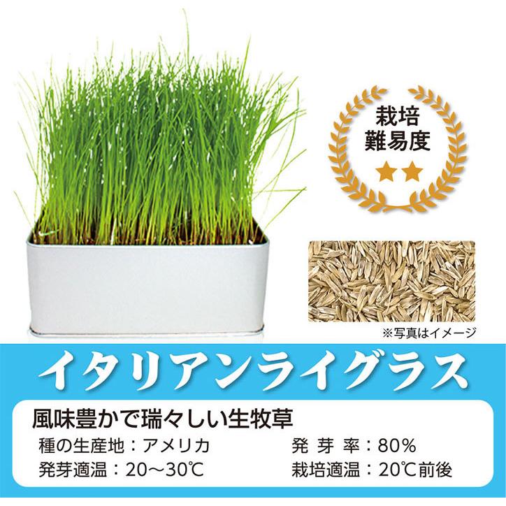 生牧草スーダングラスとギニアグラス 80サイズ 通販 生牧草スーダングラスとギニアグラス80サイズ