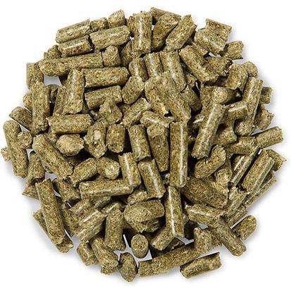 【２点+ステッカーセット】『Oxbow アダルトモルモット 2.25ｋｇ×2点 +モルモットステッカーセット 』 | OXBOW | 01