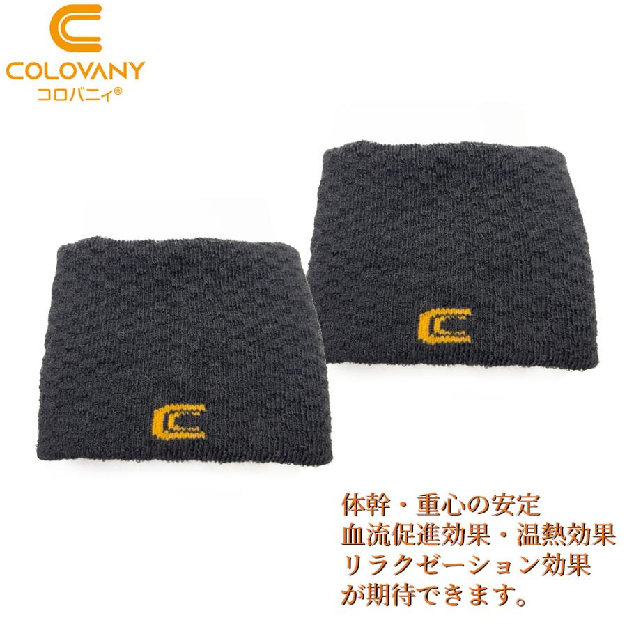 コロバニィ リストバンド 2個セット フリーサイズ SPAORE 健康 手首 特許取得 温活 人工鉱石 体幹 重心安定 血流促進 リラクゼーション 転倒防止 温泉鉱石 | 