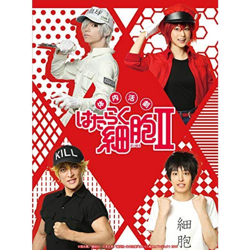 体内取っ組みあい「はたらく独居室」II(物のみごとに生み出すこと押さえる版) Blu-ray その他-演劇、ミュージカル-DVD、映像ソフト