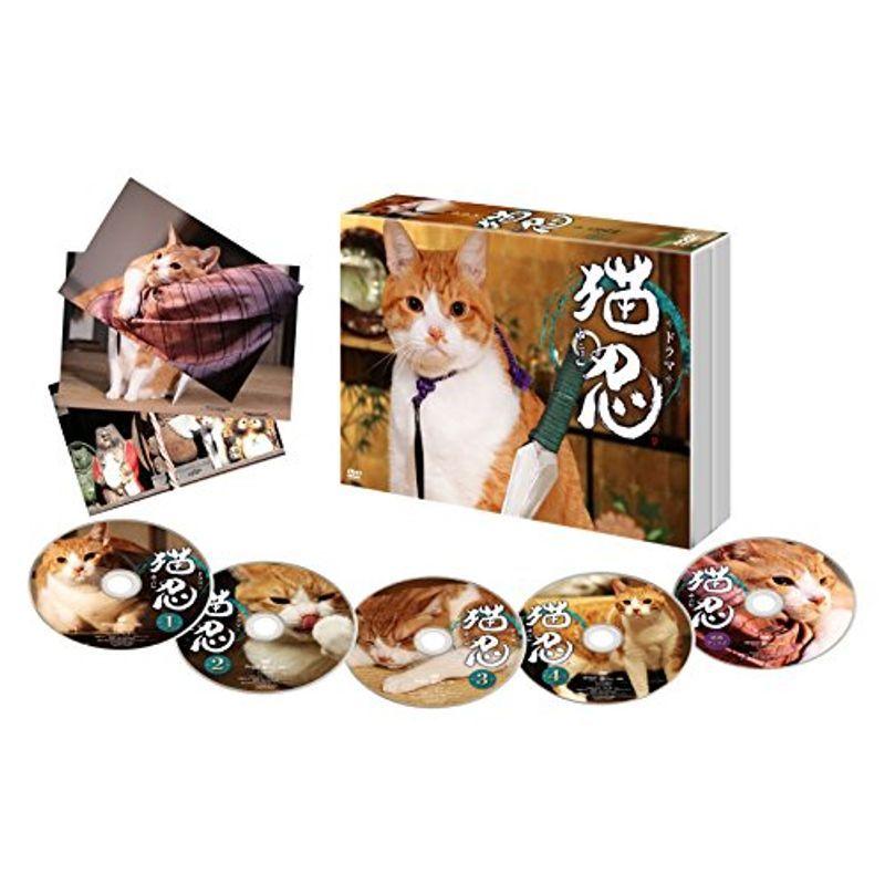 ドラマ「 猫忍 」DVD-BOX(12075円)