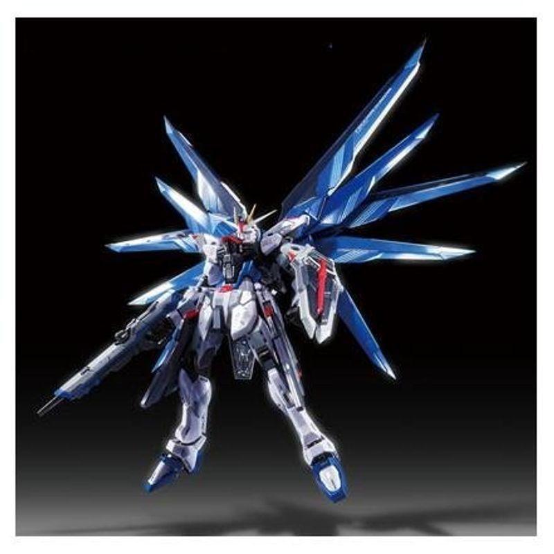 METAL BUILD フリーダムガンダム プリズムコートVer. フィギュア