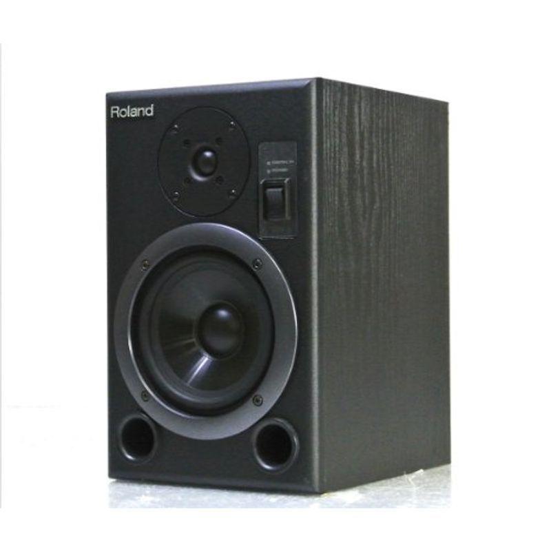 Roland DS-5 パワードモニタースピーカー バイアンプ ペア セット Roland DS-5 パワードモニタースピーカー バイアンプ ペア セット