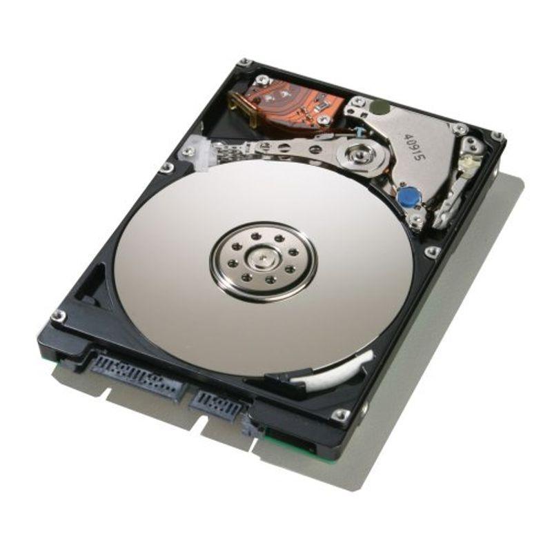 Hitachi HDT721010SLA360 1000GB ハードドライブ : スカーレット2021
