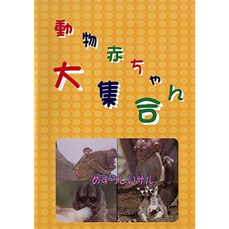 動物赤ちゃん大集合 8 めずらしいサル レンタル落ち