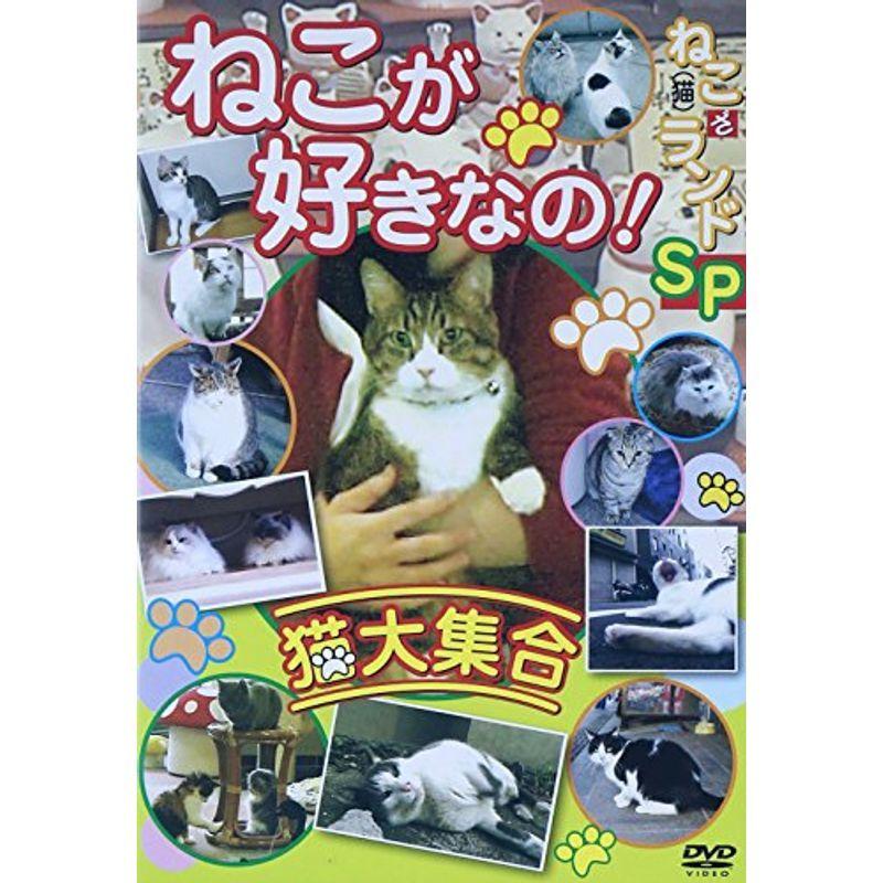 ねこが好きなの猫大集合 ねこ(猫)ざ ランドSP DVD