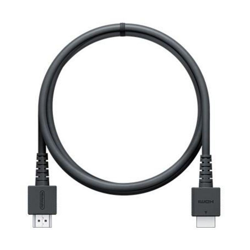 Nintendo switch 本体　※HDMIケーブルのみ無し※ Nintendo Switch ニンテンドー スイッチ 純正 HDMIケーブル 単品