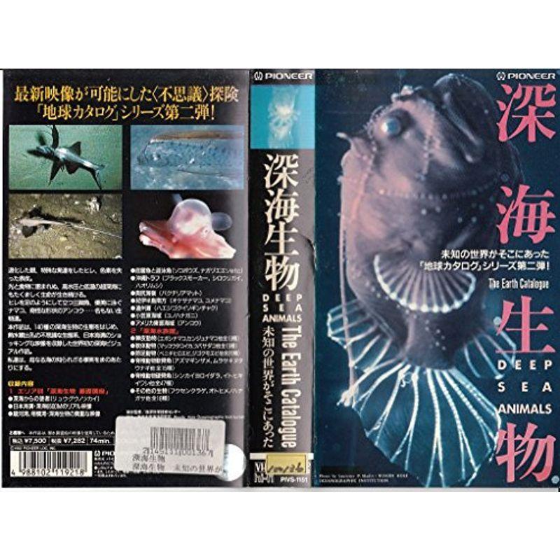 地球カタログ・深海生物 VHS : スカーレット2021 - 通販 - Yahoo 