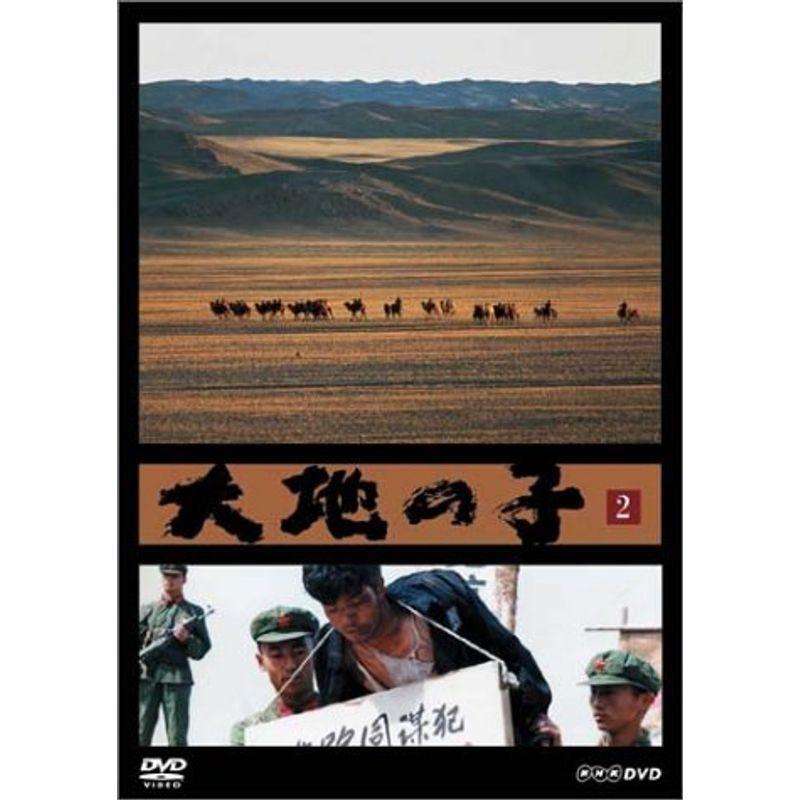 大地の子 2 流刑、再会 DVD