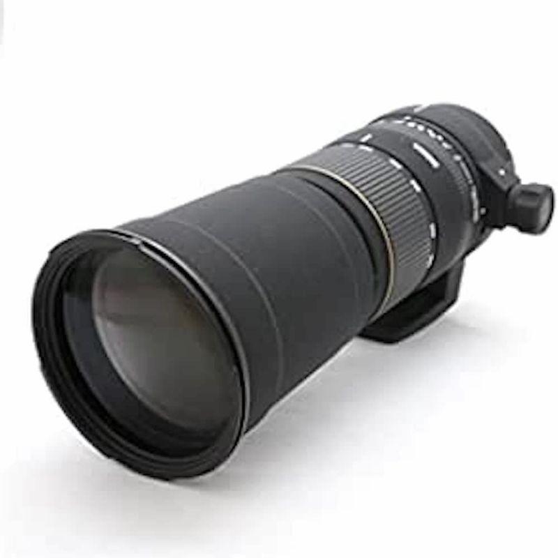 シグマ SIGMA 170-500mm F5-6.3 APO DG キヤノン用 シグマ 170-500mm F5-6.3 APO DG キヤノン用 : スカーレット2021