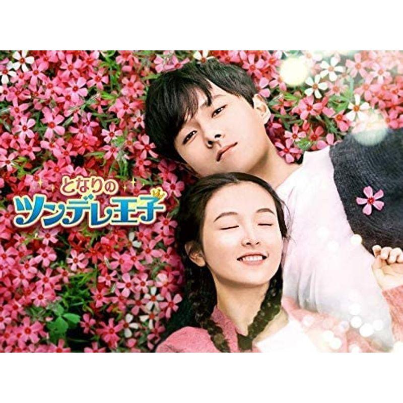 となりのツンデレ王子 DVD全巻セット〈18枚組〉 Amazon.co.jp: となりのツンデレ王子 DVD-SET2 : チャン