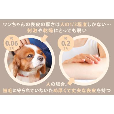 ペット用犬猫保湿スプレー キトキラ　犬・猫用化粧水｜scavale-shop｜02