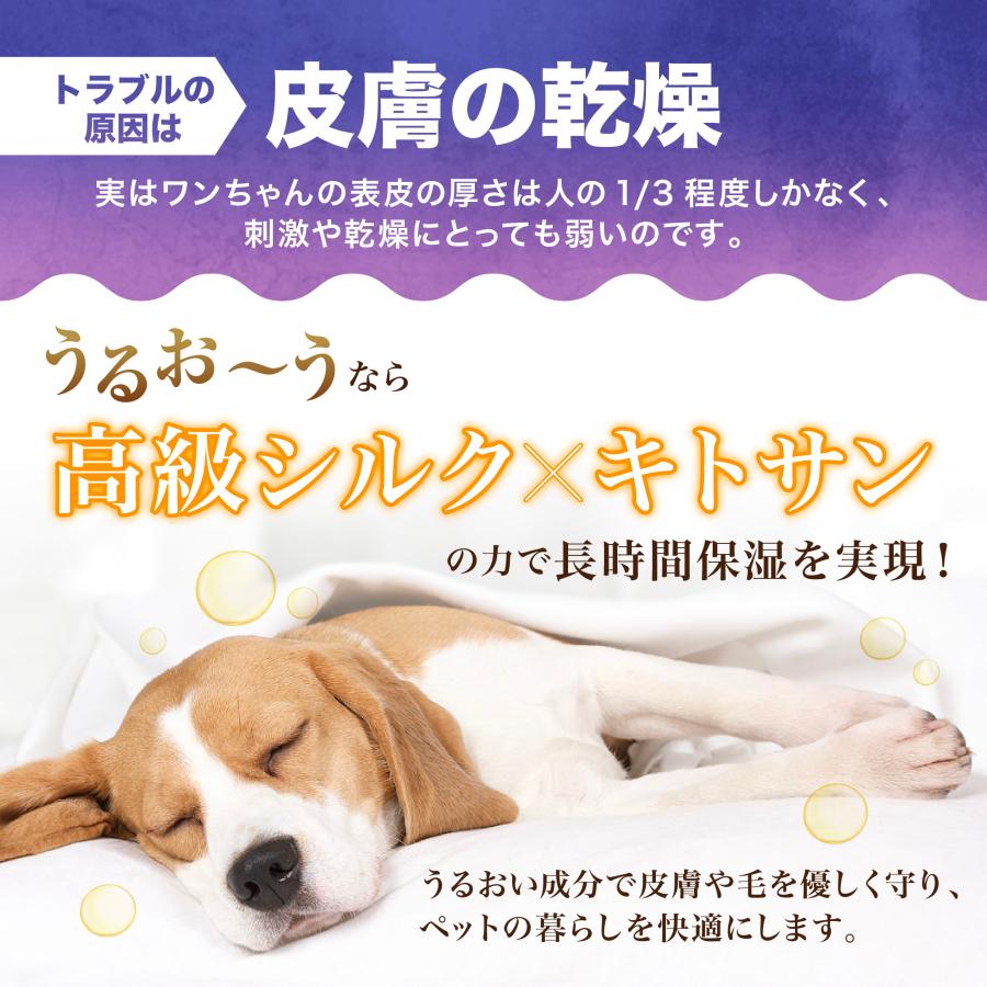 犬　猫　ペット用トリートメント保湿スプレー　うるお〜う　100ml　無添加　フケ　かゆみ　湿疹　乾燥　肌荒れ |  | 02