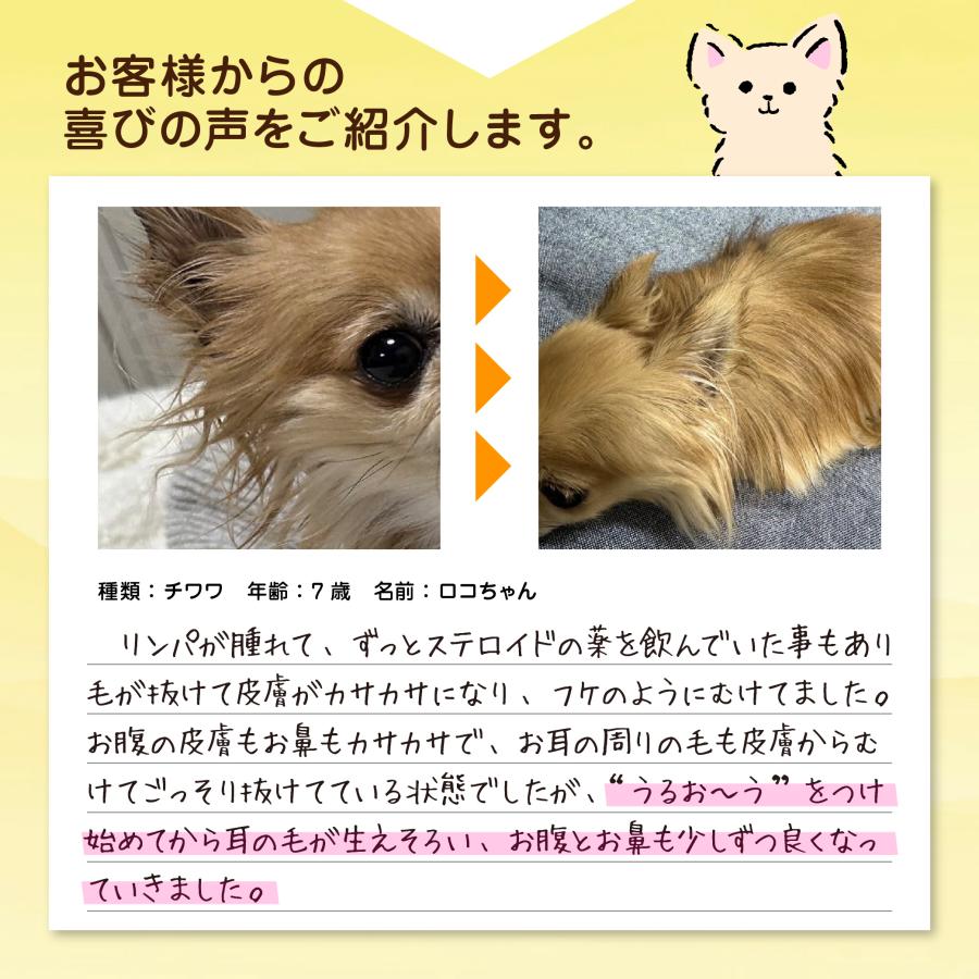 犬　猫　ペット用トリートメント保湿スプレー　うるお〜う　100ml　無添加　フケ　かゆみ　湿疹　乾燥　肌荒れ |  | 08