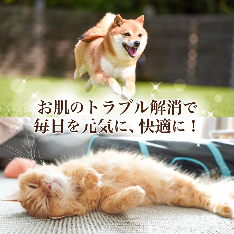 犬　猫　ペット用トリートメント保湿スプレー　うるお〜う　100ml　無添加　フケ　かゆみ　湿疹　乾燥　肌荒れ　3本セット【送料無料】 |  | 03