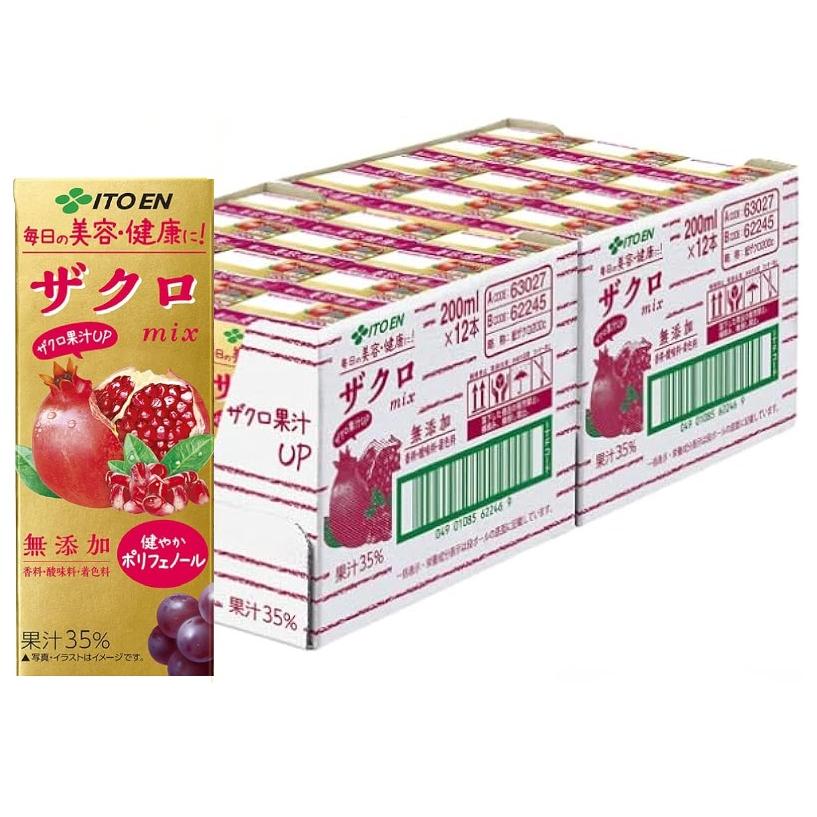 新品未開封 Wバスター 30日分 2袋 24本セット】 伊藤園 エコパック ザクロmix 紙パック (200ml×24本入