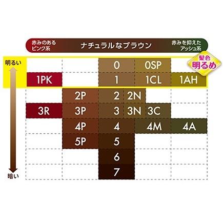 Kao（花王） ブローネ 泡カラー [6:ダークブラウン] 白髪用ヘアカラー