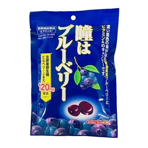 在庫処分】 賞味期限：2026年2月 川口製菓 瞳はブルーベリー (83g