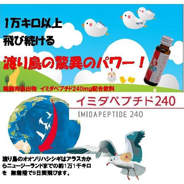 イミダペプチド２４０ １０本 渡り鳥の驚異のパワー！｜scbmitsuokun1972｜02