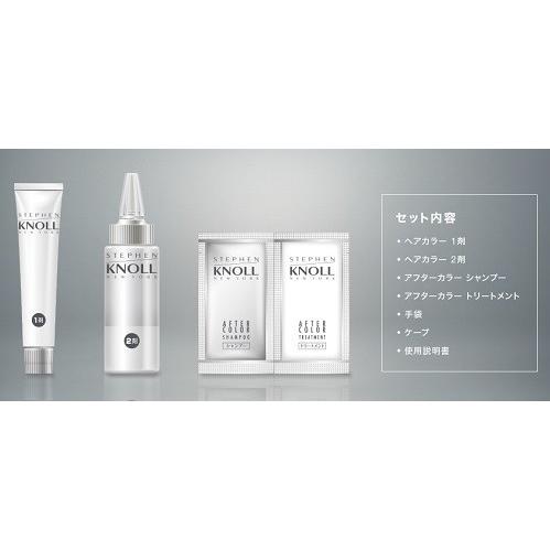 スティーブンノル6点セット販売 コーセー STEPHEN KNOLL(スティーブンノル) カラークチュール 液状ヘア