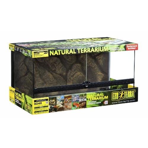 J】 エキゾテラ グラステラリウム 9045 PT2613(1個入) : SCB - 通販