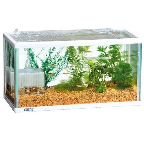 J ジェックス メダカ元気 かんたん飼育セット ｓ 1セット Scb 通販 Yahoo ショッピング