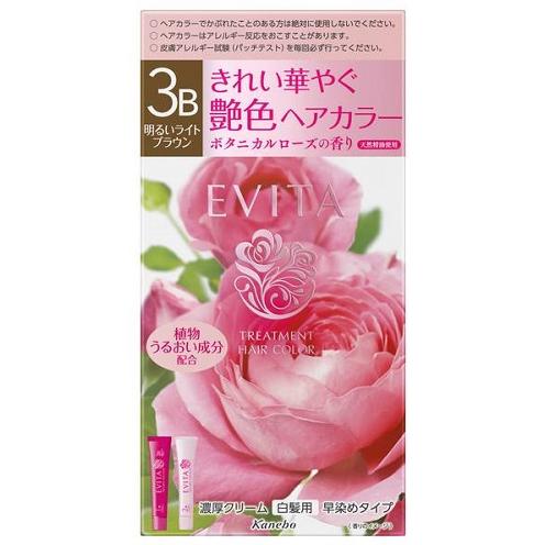 カネボウ エビータ トリートメントヘアカラー 3B （医薬部外品