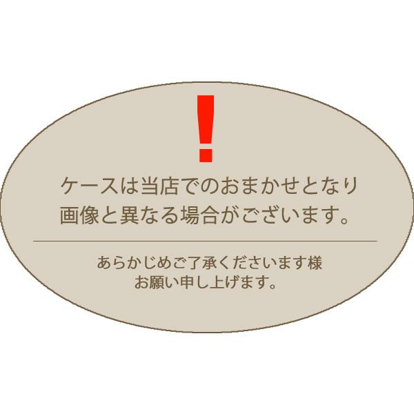 [Baylineオリジナル]ボストン型スタイリッシュPC対応リーディンググラス 老眼鏡 おしゃれ ユニセックス ブルーライトカット シンプル ワイヤーノーズ |  | 14