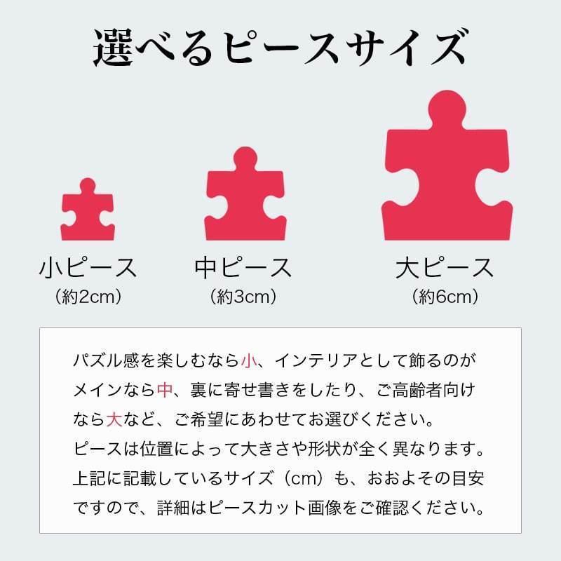 視力検査 目 眼 ランドルト環 測定 計測 ジグソーパズル 写真 オーダー