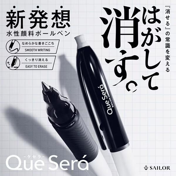 消せる 水性ボールペン ケセラ 0.8mm 耐水 耐光 高発色 手帳 日記