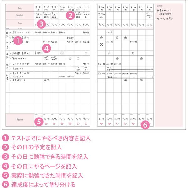 スタディープランノート B5 2週間 みおりん Study Time ブルー テスト