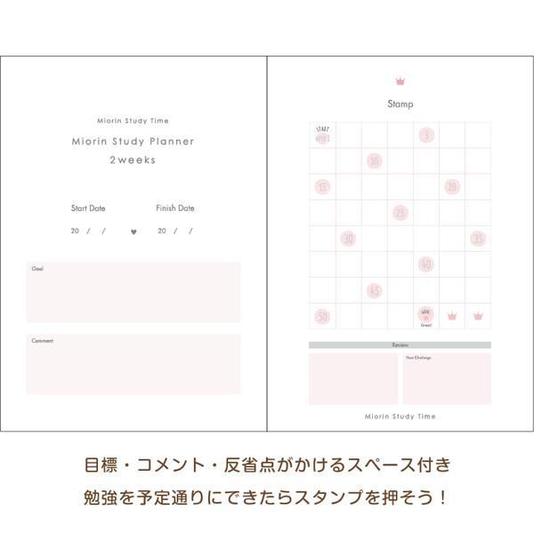 スタディープランノート B5 2週間 みおりん Study Time ブルー テスト