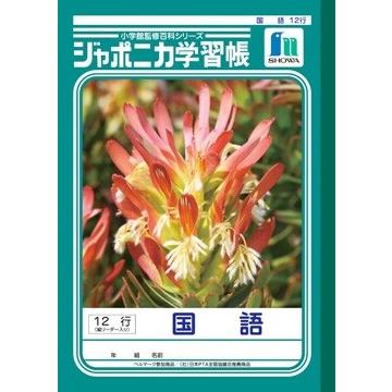 ジャポニカ ジャポニカ学習帳 国語 18マス 12行 縦リーダー入り JL-11 [01] 〔合計