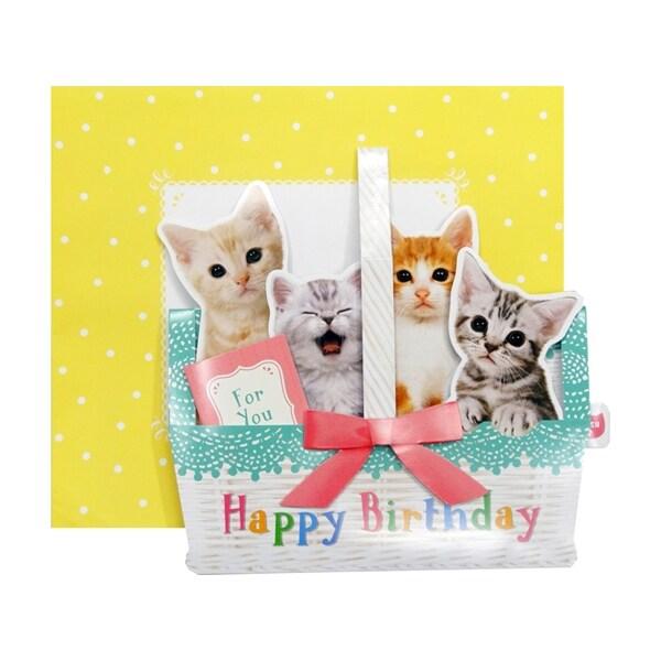 Yahoo ショッピング Paypayポイントがもらえる ネット通販