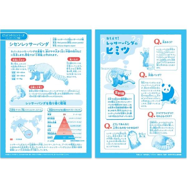 ハーモニー学習帳 どうぶつのくに 算数 5mm方眼 HN-41 10冊セット B5