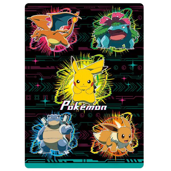 ポケットモンスター 30周年 B5 下敷き A柄 リザードン フシギバナ