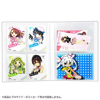 ブロマイド収納ホルダー L判・2L判対応 ポストカード チケット 半券