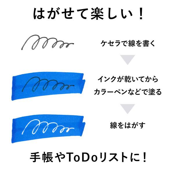 消せる 水性ボールペン ケセラ パック 0.8mm 耐水 耐光 高発色 手帳