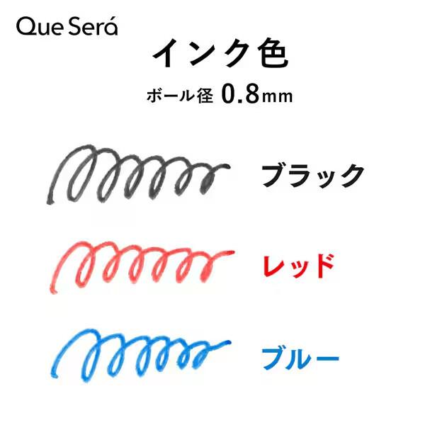 消せる 水性ボールペン ケセラ パック 0.8mm 耐水 耐光 高発色 手帳