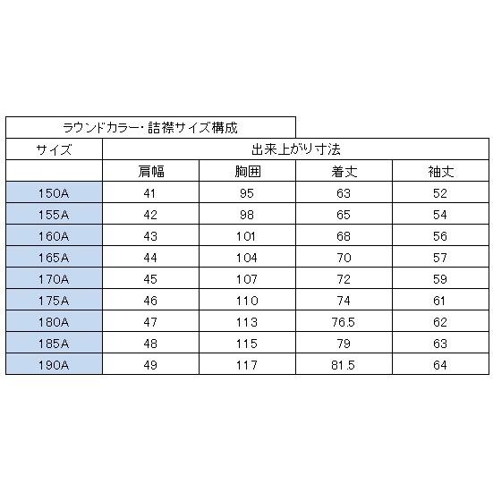 学生服 学ラン 中学生 高校生 中高生 制服 A体 ラウンドカラー （詰襟