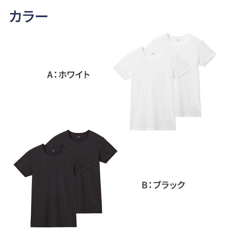 YG グンゼ tシャツ メンズ 半袖 クルーネック 鹿の子 抗菌 防臭 2枚組
