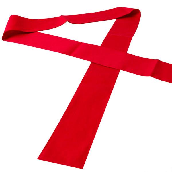 たすき 襷 カラーたすき 体育祭 運動会 選挙 150cm×6cm (赤 白 青 黄色 緑 黒 ピンク リレー 駅伝 応援団 選挙用品 無地) | ブランド登録なし | 02