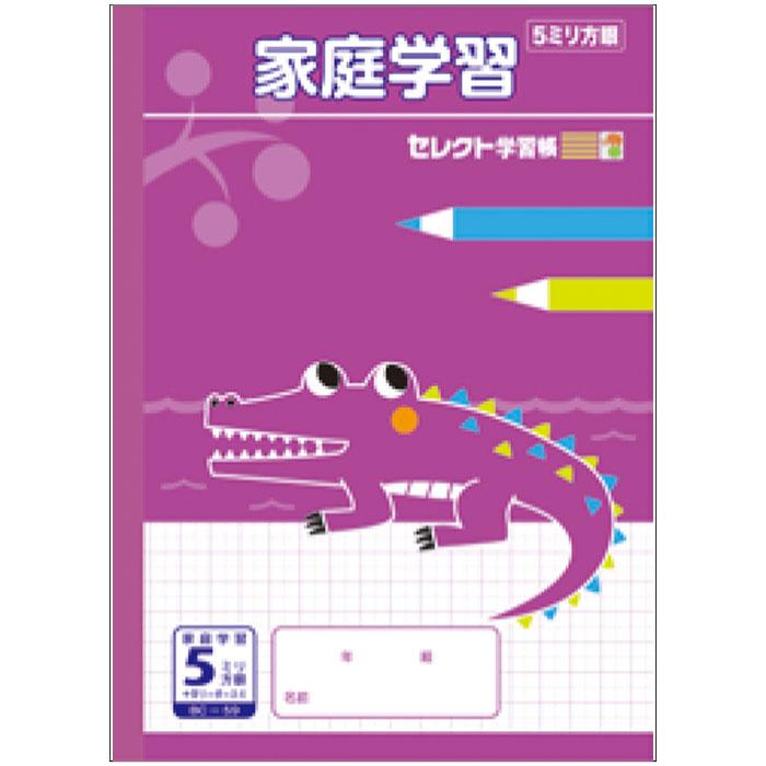 文運堂 【 自主学習 】【 B5判 】【 5mm方眼 中心リーダー入 】文運堂