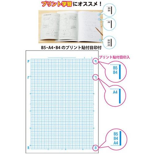 算数 判 5mm方眼 中心リーダー入 キョクトウ 日本ノート カレッジアニマル学習帳 方眼ノート プリント貼付目印付 Lpa2 アザラシ Ntblpa2pc スクールtown 通販 Yahoo ショッピング