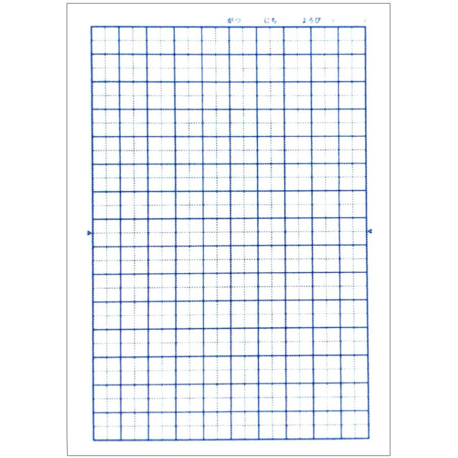 国語 B5判 こくご15マス 中心リーダー入 サクラ 学習帳 Np25 15mmマス 15 10 中心リーダー入 ネコ Ntbnp25pc スクールtown 通販 Yahoo ショッピング